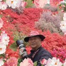 완산-25 이미지