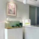 어반네이처 이미지