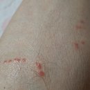 정병오내과의원 이미지