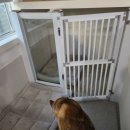 개판살판 이미지