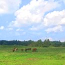 일석목장 이미지