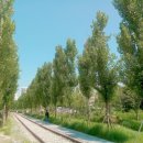 화랑대사거리 이미지