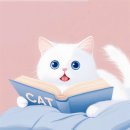 아벨라움 인천청라 | 후기 아벨라움 인천청라점 솔직후기 맞음? 나만 이제 안 거임?