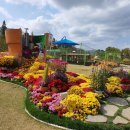 유림-1030 이미지