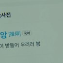 매일여행클럽