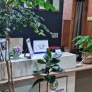 건강지압센터 손수 이미지