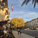 해광 | 점성술 상담 후기) 해광, 아네, 술객, 릴리, 실바네스, 종준