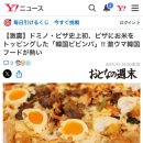 일본 도미노 피자 신메뉴 이미지