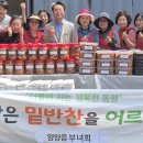 양양읍사무소 티스토리