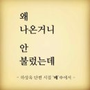 쭈꾸미달인 - 제주시 | 쭈꾸미달인