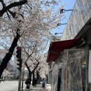 국민간식 쌀떡 | [화명동 맛집] 국민간식 쌀떡 : 또간집 무조건 쌀떡볶이 맛집 :)