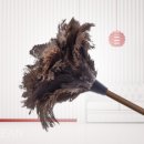 래미안크리닝 이미지