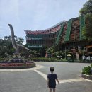 동화농장 | 달랏 아이랑 여행 — 동화 속 농장, Langfarm Center 방문기