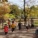 거모어린이집 이미지