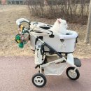 쿵이네 펫세상 | 에어버기 일본 애견 유모차 화이트 직구 통관세 포함 후기