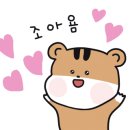 편편집초월역점 이미지