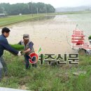 정용각