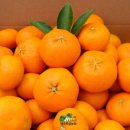 다올농장 이미지