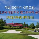 에나하우스 | [공지] 나고야 메달리온 벨그라비아 골프
