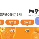 대성농산물 이미지