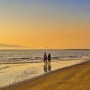 파도소리 이미지