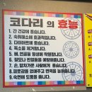 금강코다리 이미지