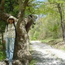 관음사입구 이미지