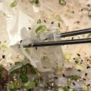 광주 동천동 횟집 산오징어회 찐 후기, 황금회포차 동천점