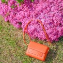 아지날리 이미지