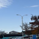 댕댕쓰 | 2025 마지막 공연 컬뮤페후기/파라다이스시티 페스티벌 주차