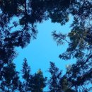 천두목장 이미지