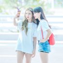 모모 이미지
