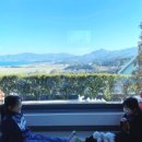 남해 인도마리 펜션 이미지