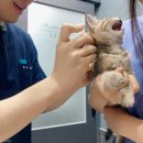 성진동물병원 이미지