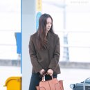 달빛마차 이미지