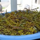 (주)성우식품 이미지