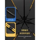 동우랑 이미지