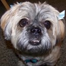 알콩달콩 이미지