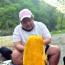 호박게임장 이미지