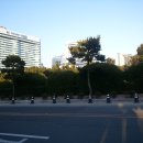 송림공원 이미지