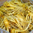 증평인삼판매장 이미지