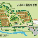 금대에코힐링캠핑장_2 이미지