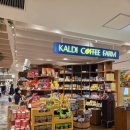 칼디 커피 팜 KALDI Coffee Farm
