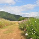 개양경로당 이미지