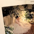 위드제이(WITH J) | [결혼 준비] st정우 스튜디오 슈가제이 웨딩촬영(with. 아이웨딩)