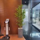 율핏 | [원주 율핏 PT&amp;필라테스] 상담후기