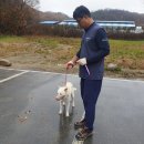 제천동물보호센터 이미지