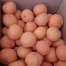 대보농장 이미지