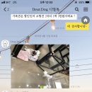 디얼독 | 동탄2애견호텔 디얼독후기!
