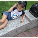 성호어린이공원 이미지